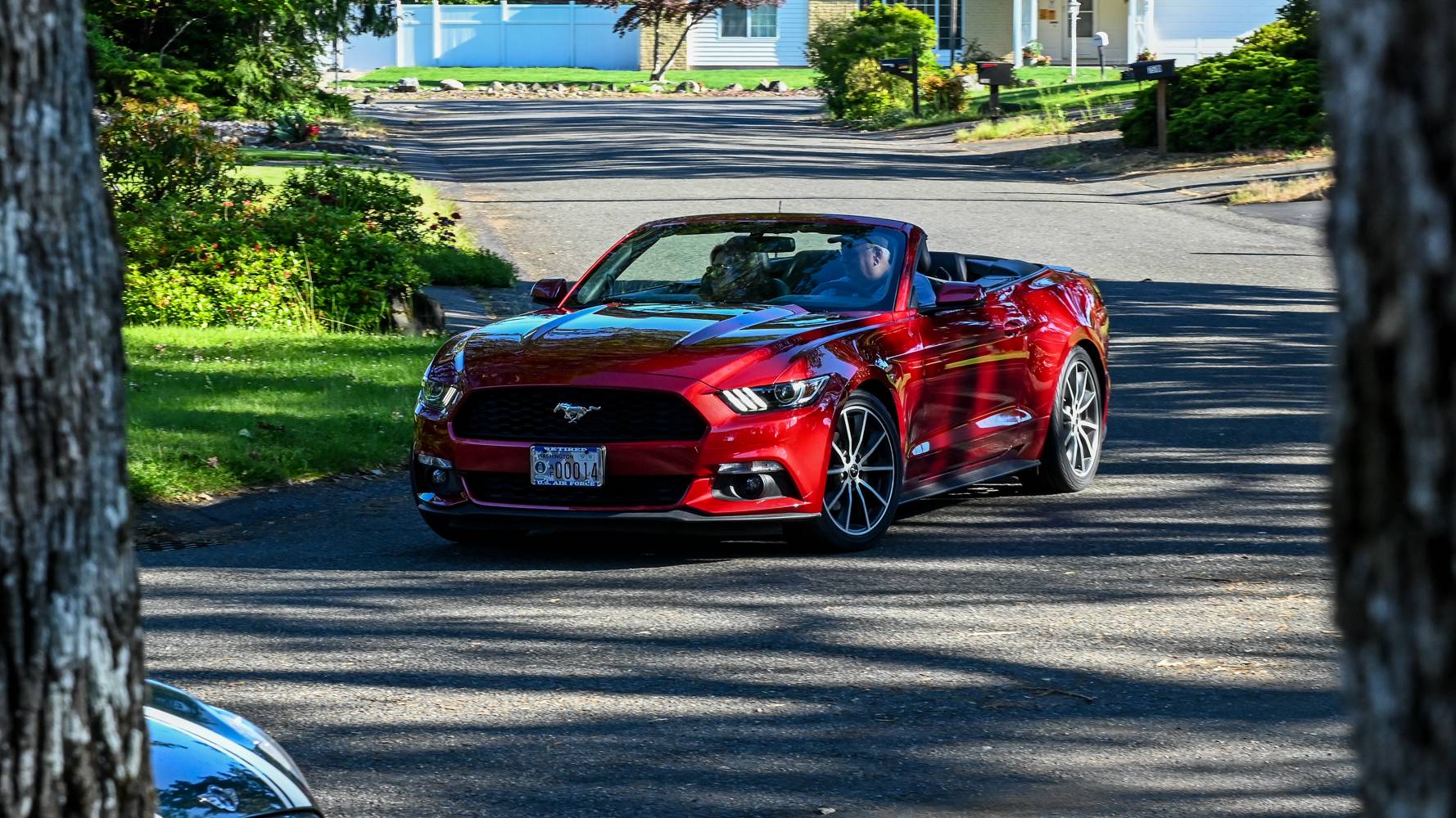 Convertible Day-21.jpg