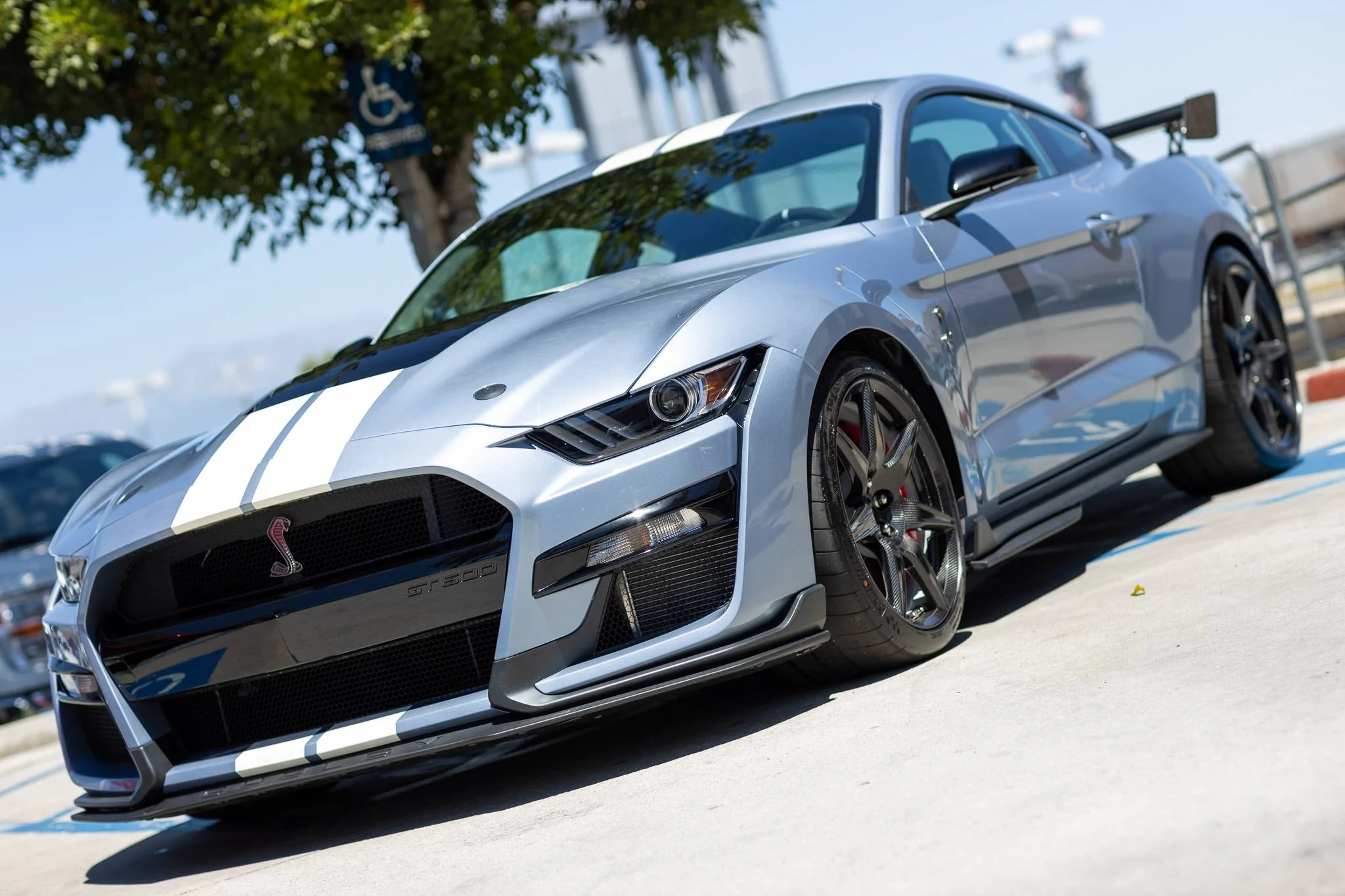 24GT500HE-FORD-SHELBY-BRETT-TURNAGE.webp