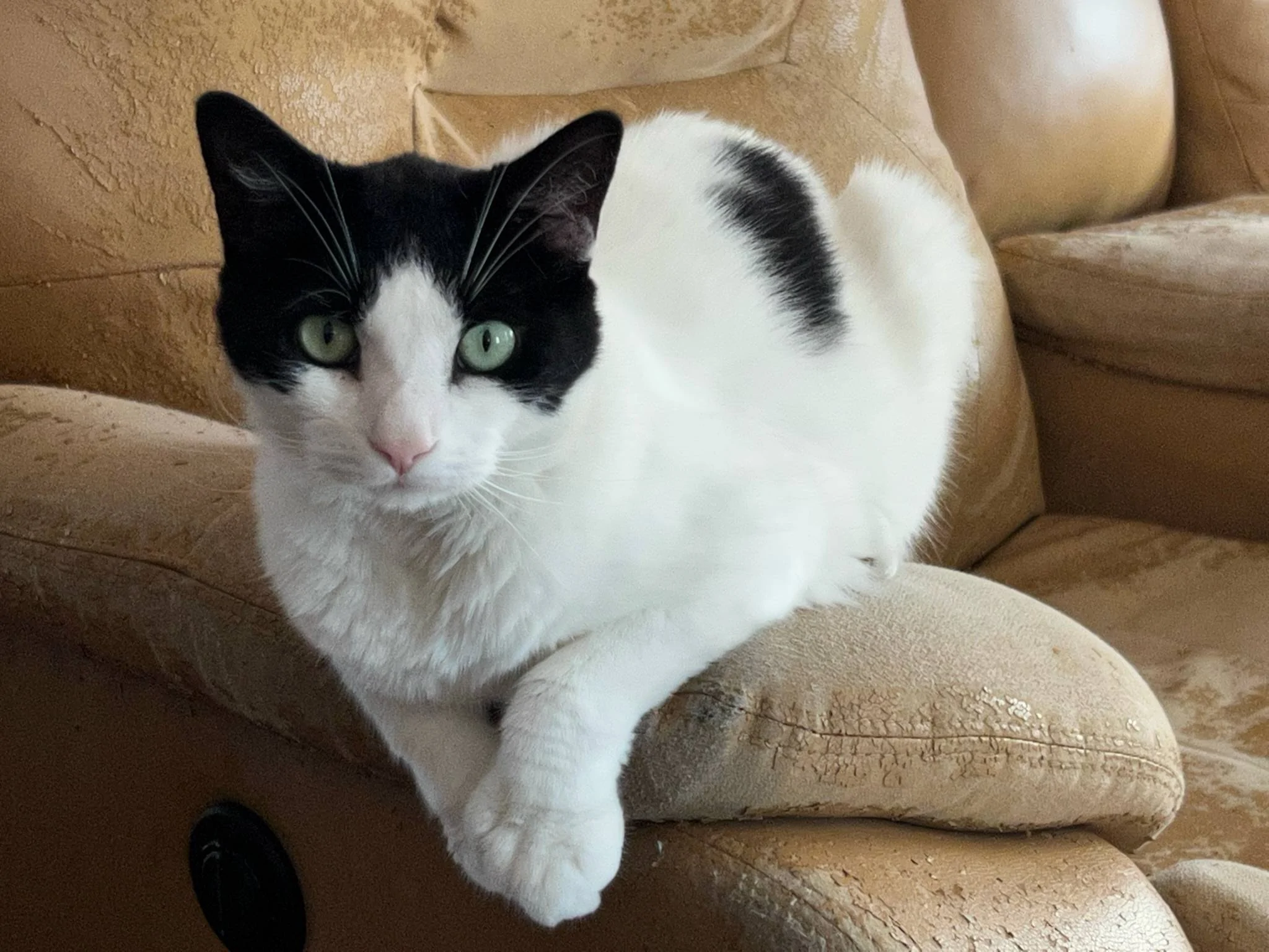 5C24D256-C5ED-48D1-A27C-18E49573A392.jpeg