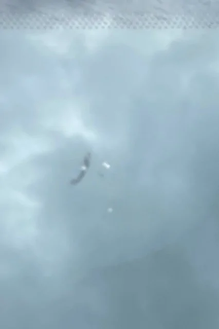 windscreen.webp
