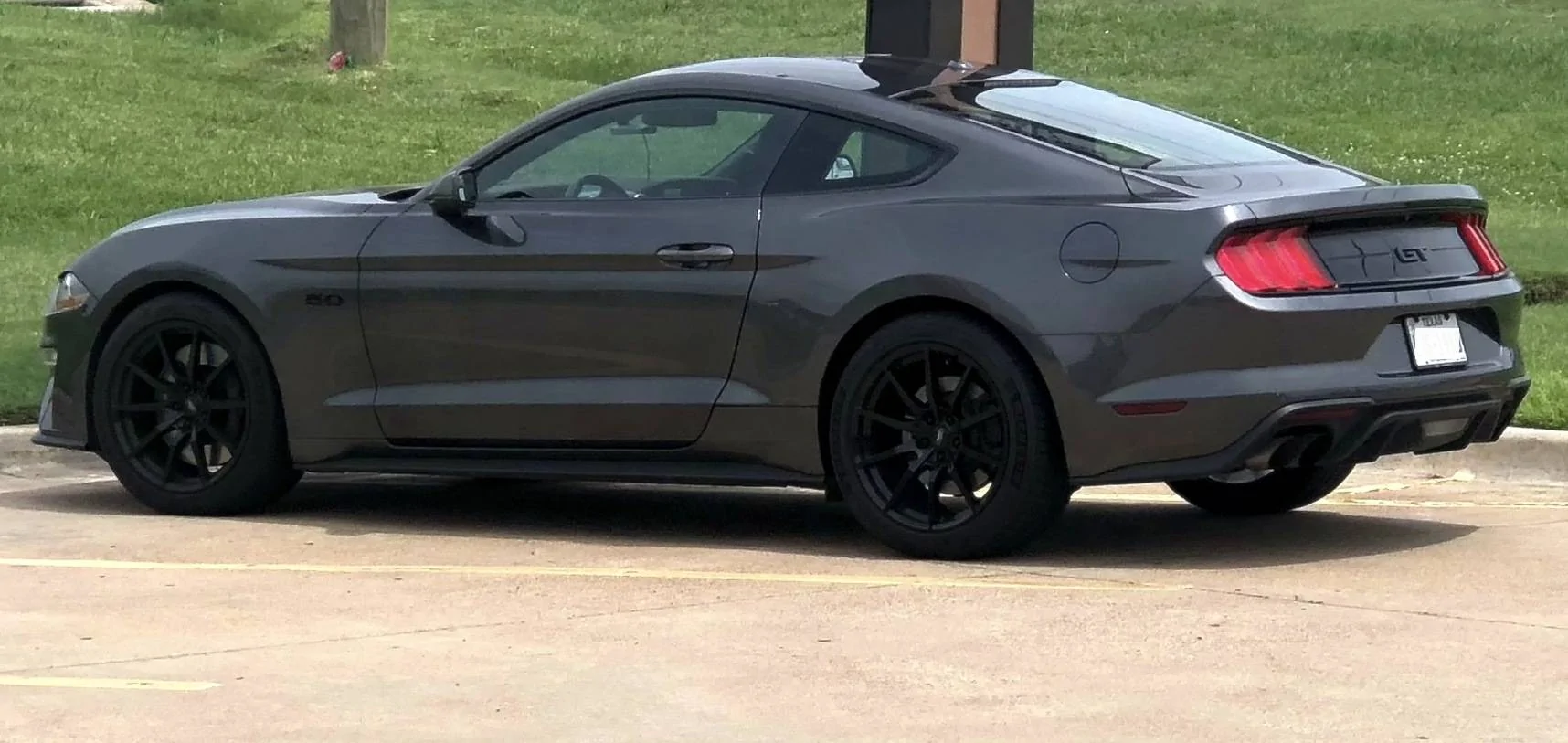 Stang side 2 plate.webp