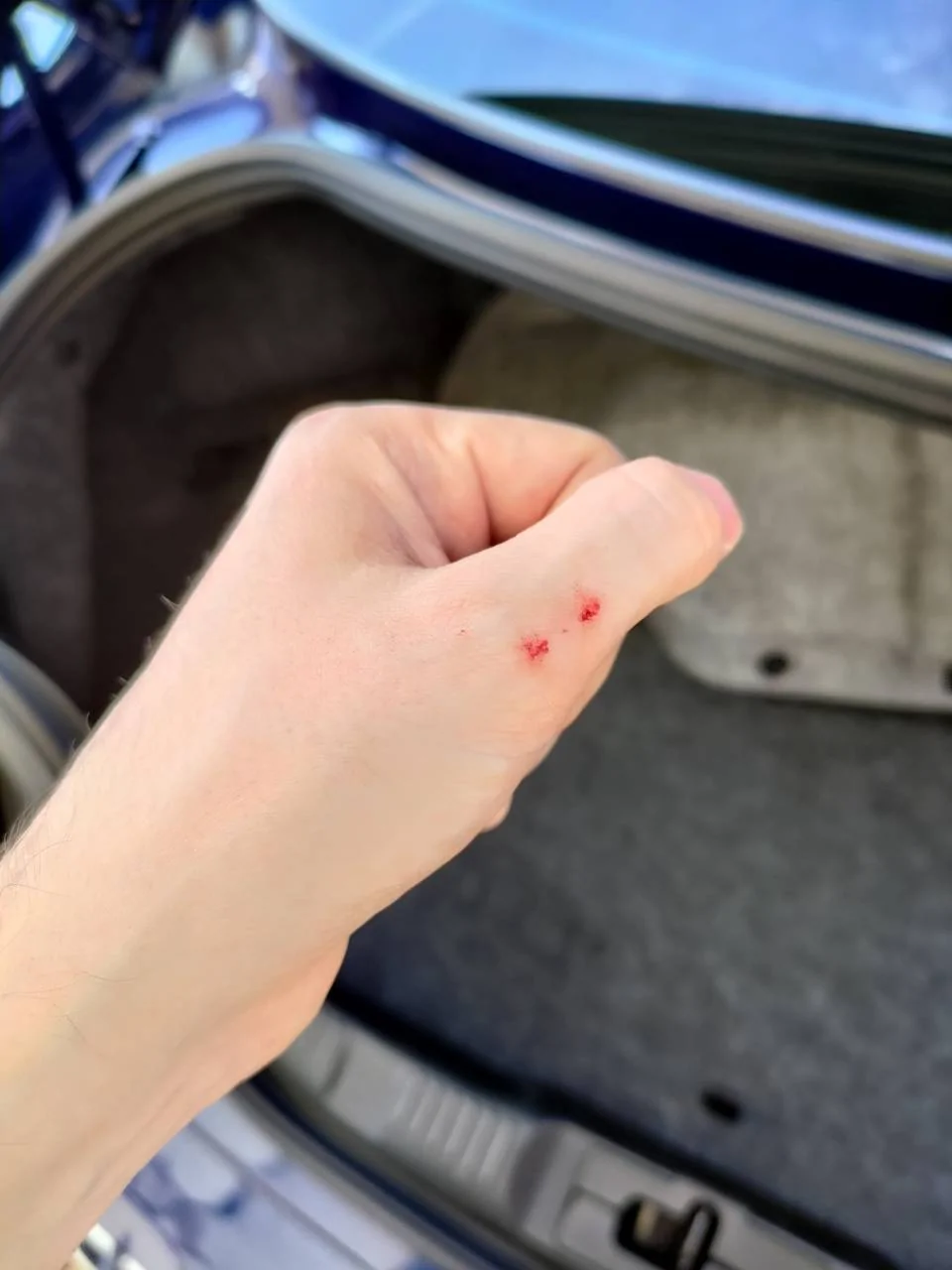 Cut.jpg