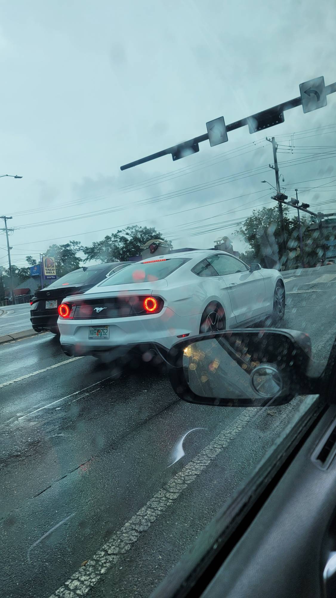 Mustang or What.JPEG