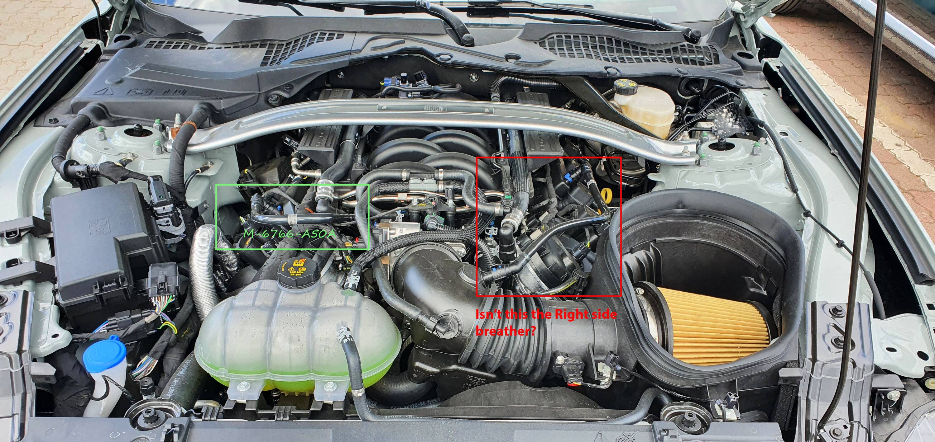 Mach1 Engine Bay.jpg