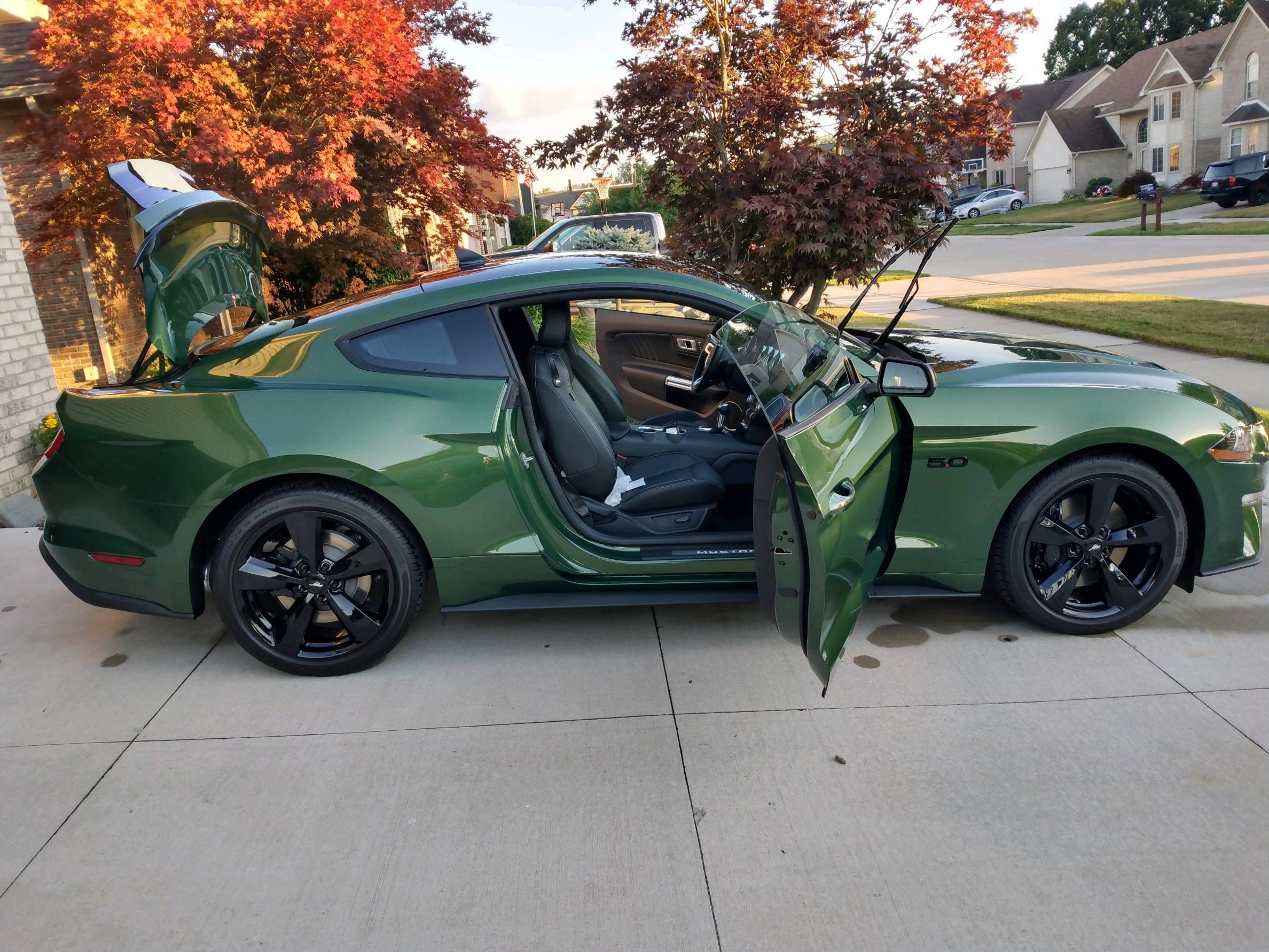 car32.jpg