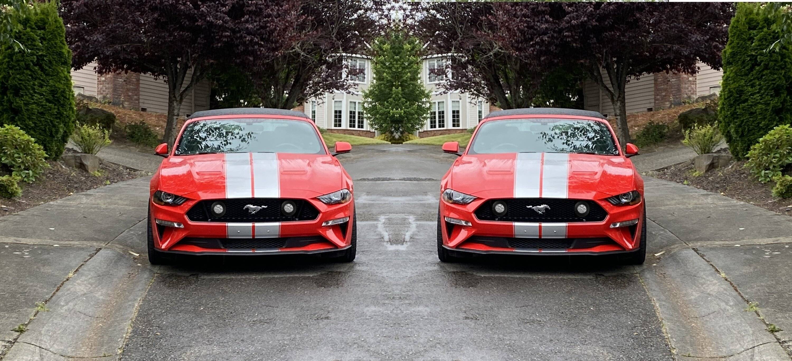 Mustang (21).jpg