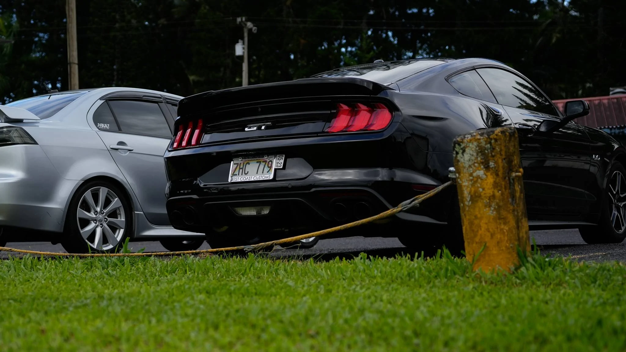 _DSC0528.webp