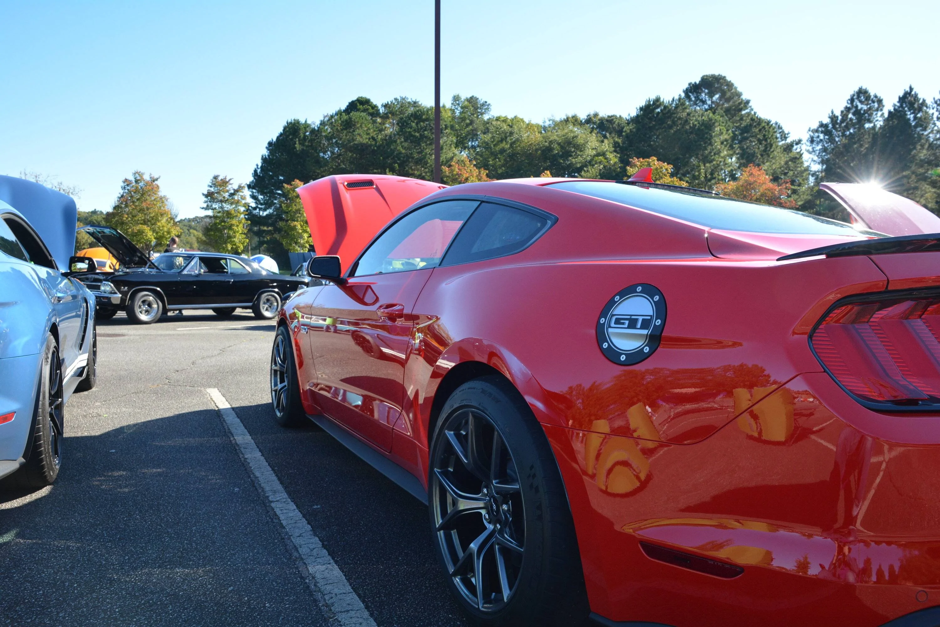 DSC_0029.webp