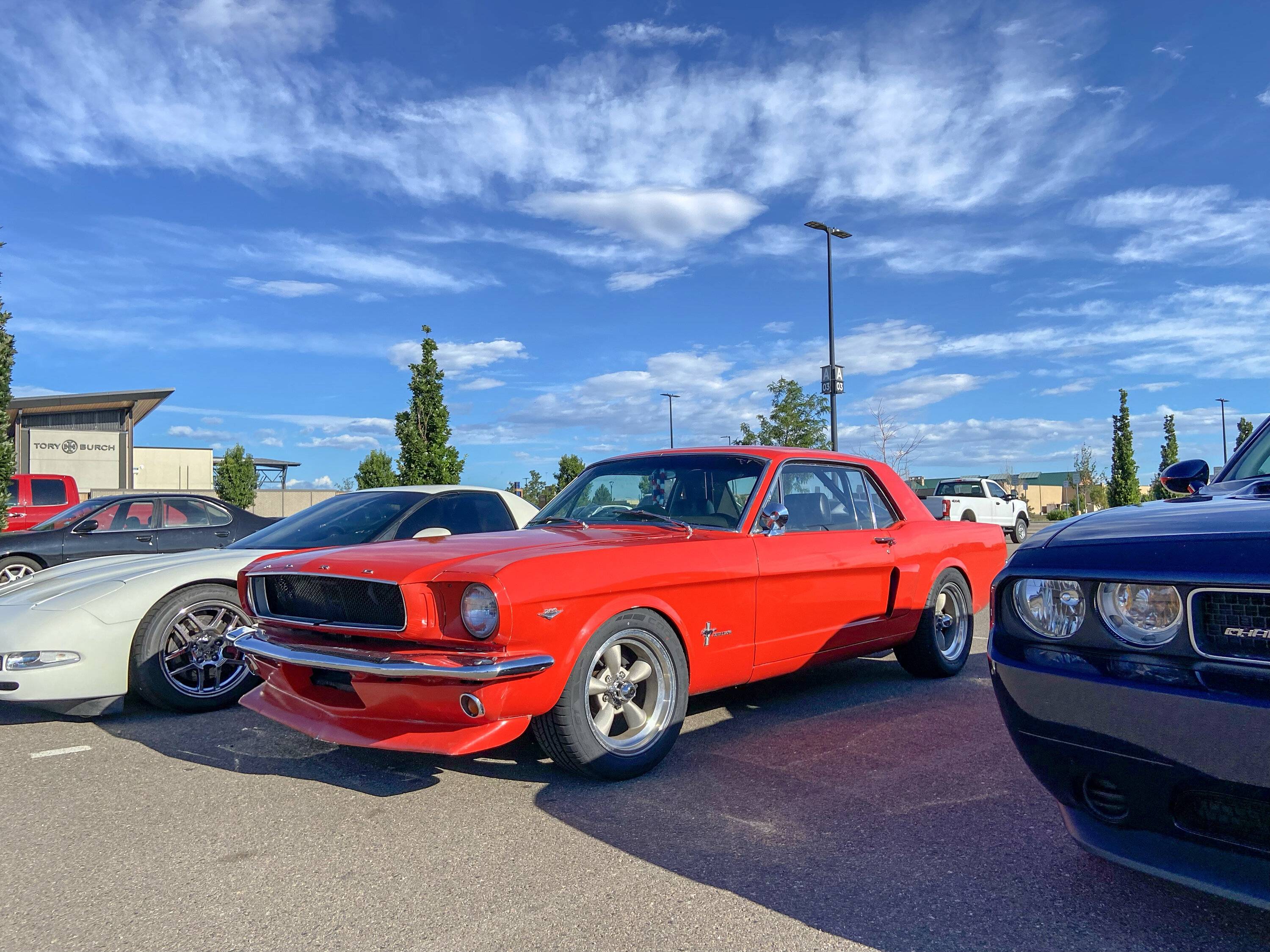 IMG_5260.JPEG