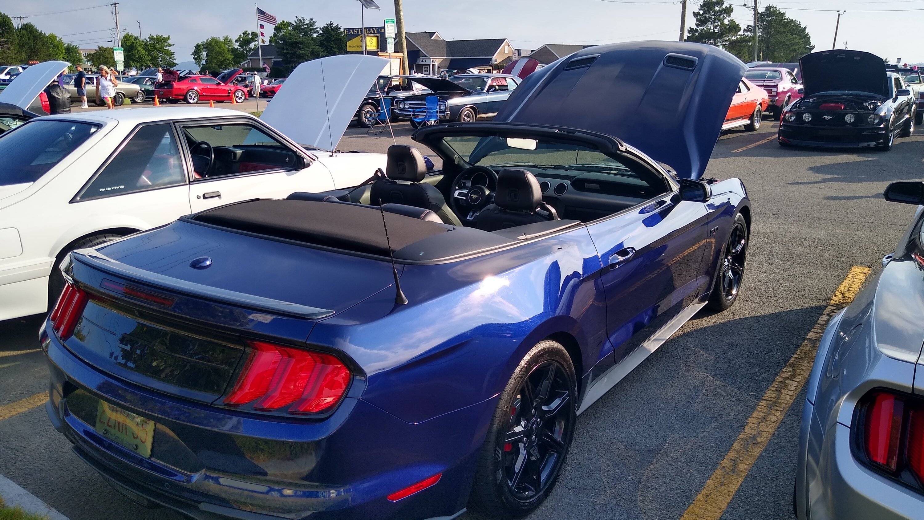 IMG_20220717_074307904_HDR.jpg