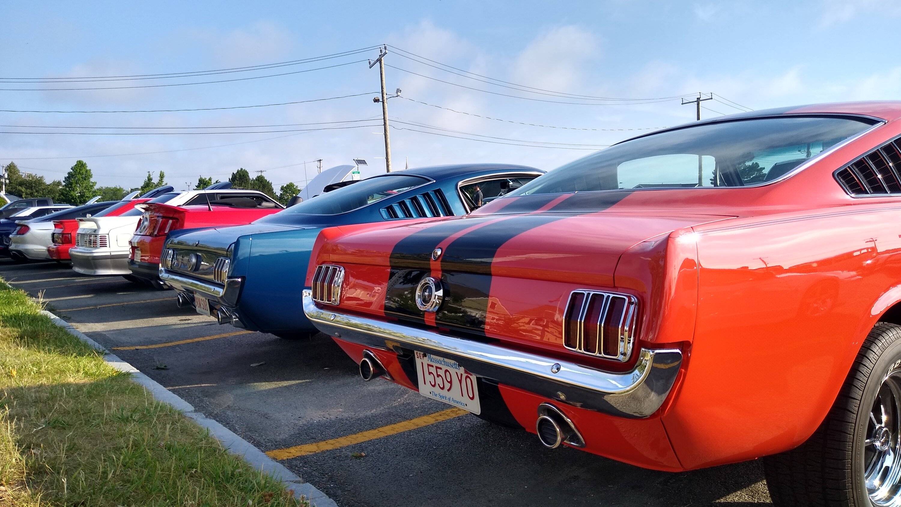 IMG_20220717_074226295_HDR.jpg