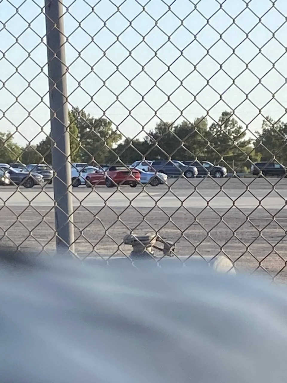 2 GT500s.jpg