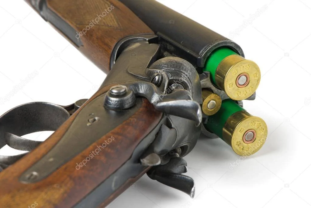 depositphotos_86951266-stock-photo-hunting-rifle-on-a-white.webp