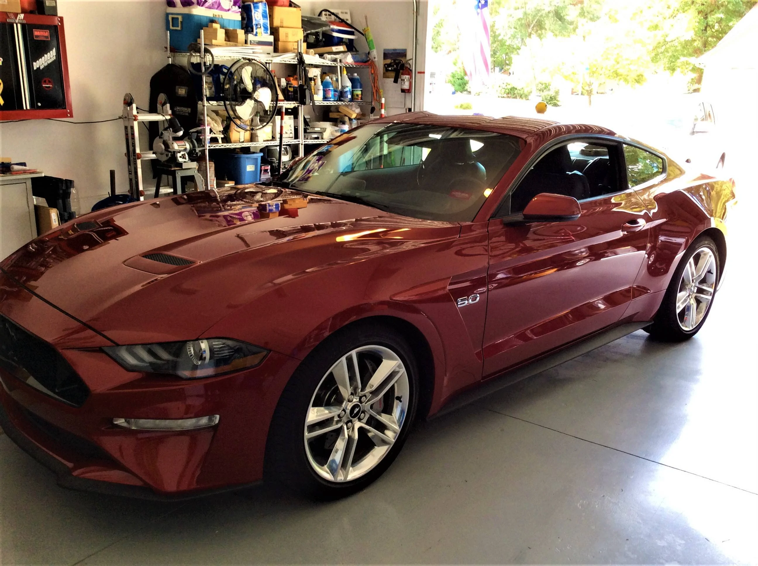 IMG_0346Car in Garage.webp