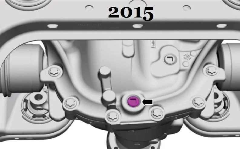 1462506304.2015 Rear Cover.webp