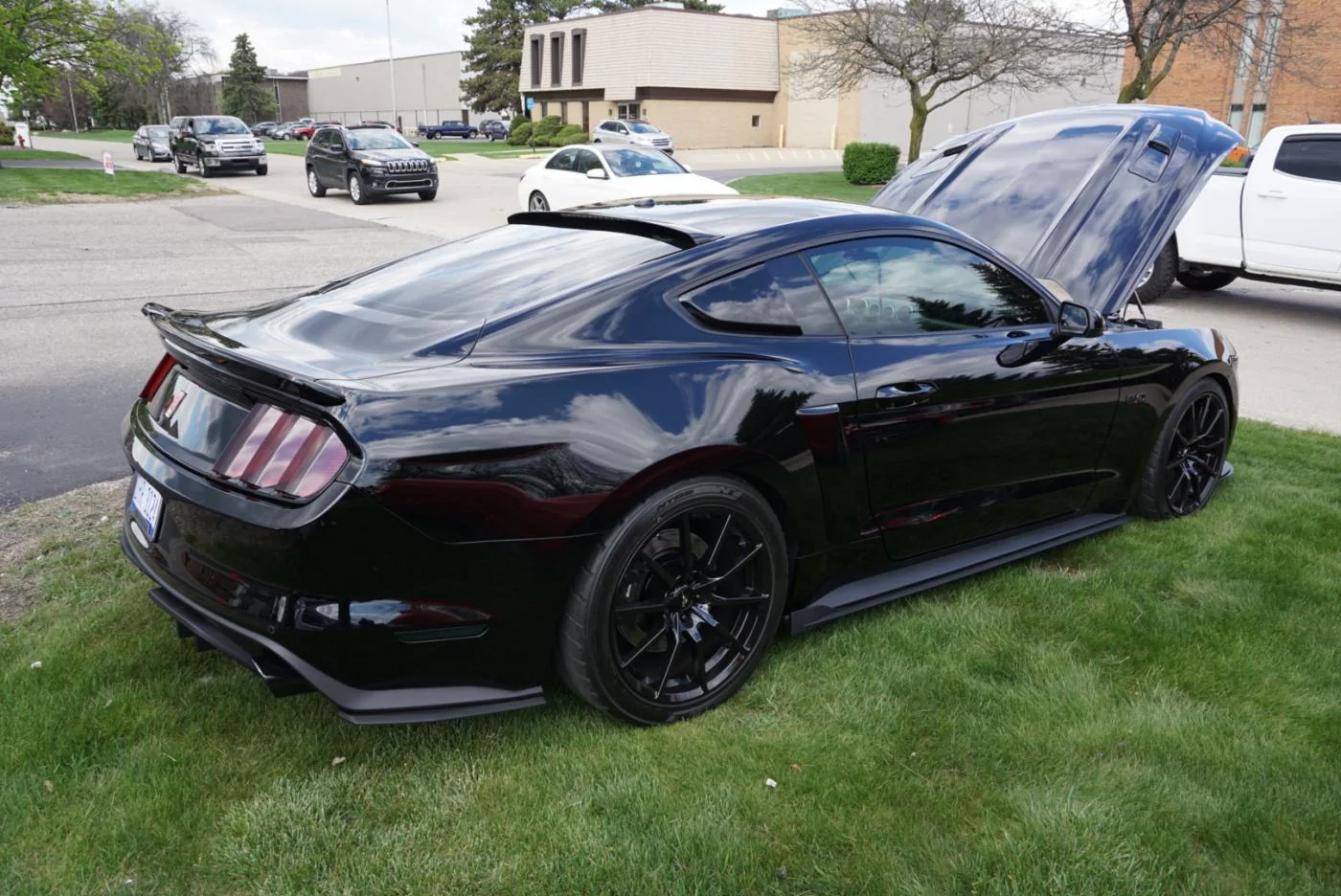 1462534315.DSC00344_2 (3).webp