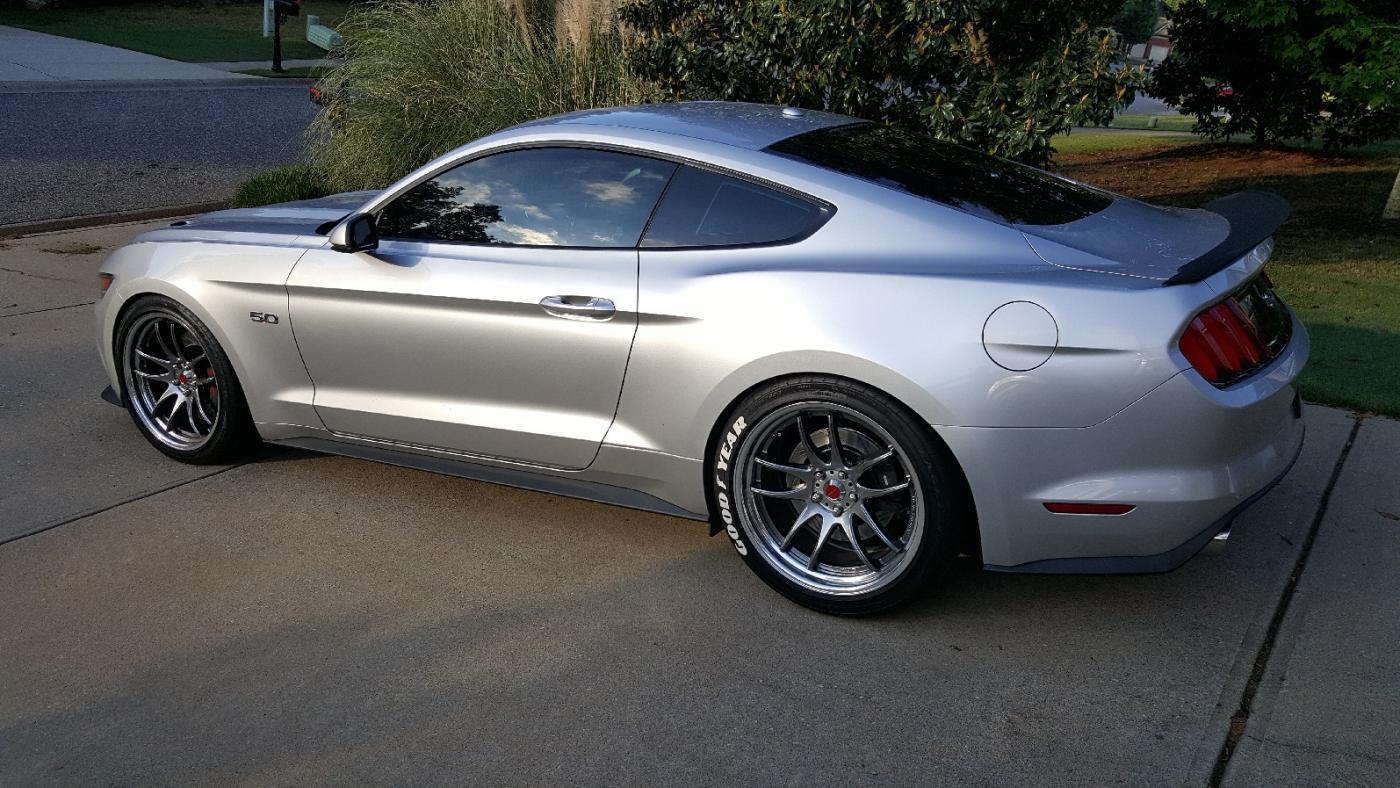 side tint.jpg