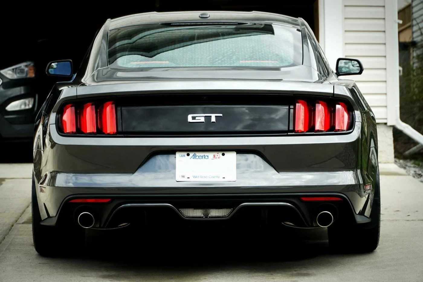 1462553694.Mustang Back.webp