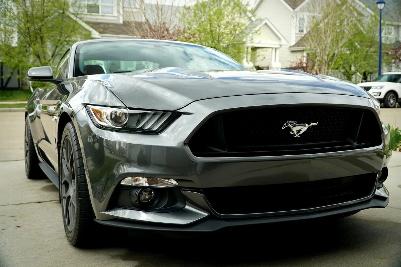 Mustang Front.webp