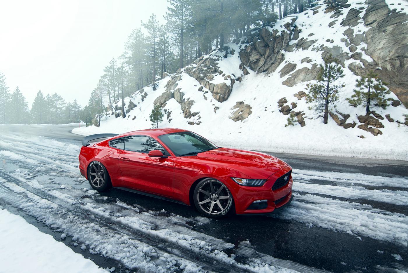 Vossen_CV7.jpg