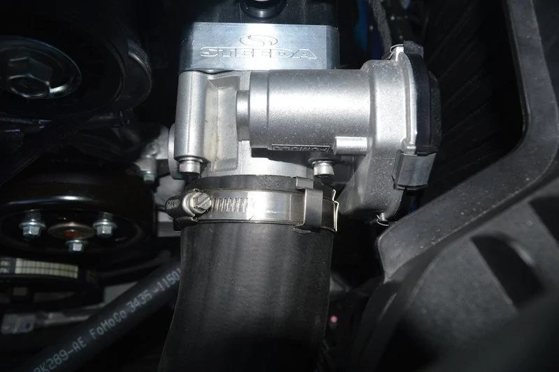 1462640203.rsz_dsc_3805.webp