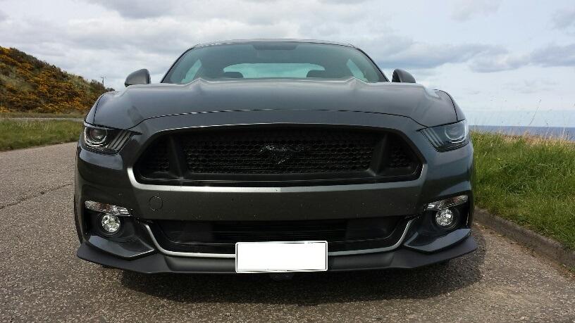 1462648608.stang4.jpg