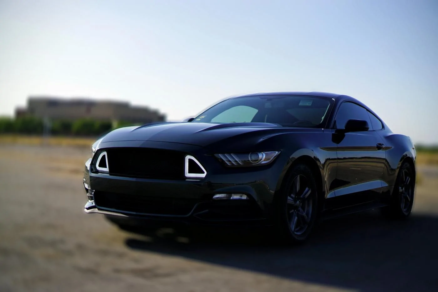 1462682234.Mustang SVT~2.webp