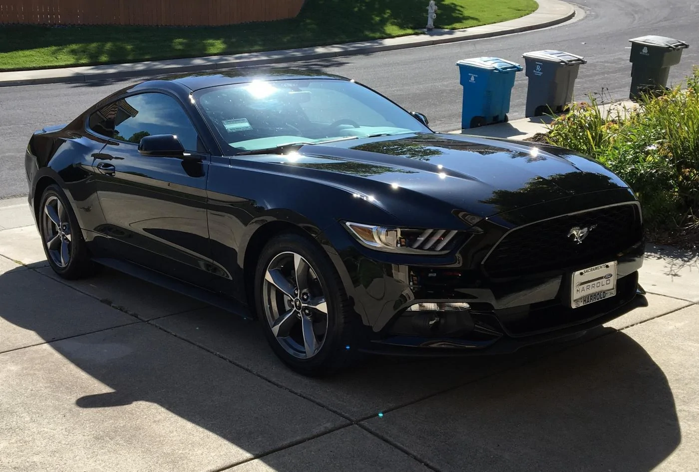 1462750388.cropped mustang.webp