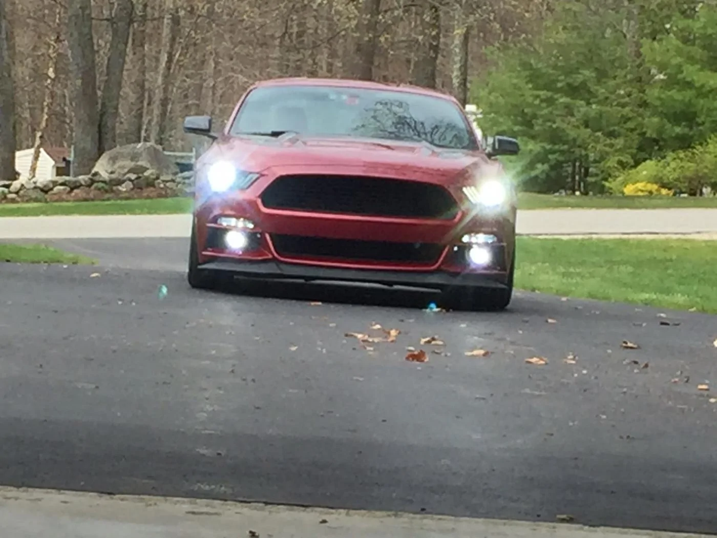 Updated Hids 5000K.webp