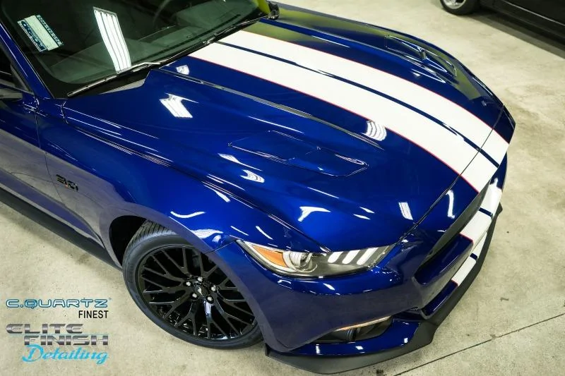 m6g forum photos nvrfinished 2.webp