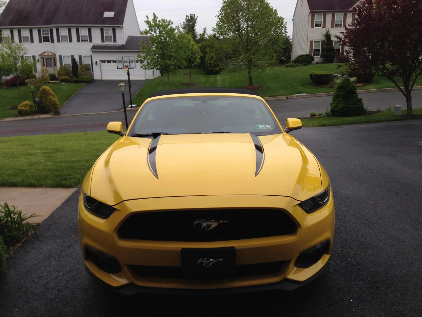 image2.webp