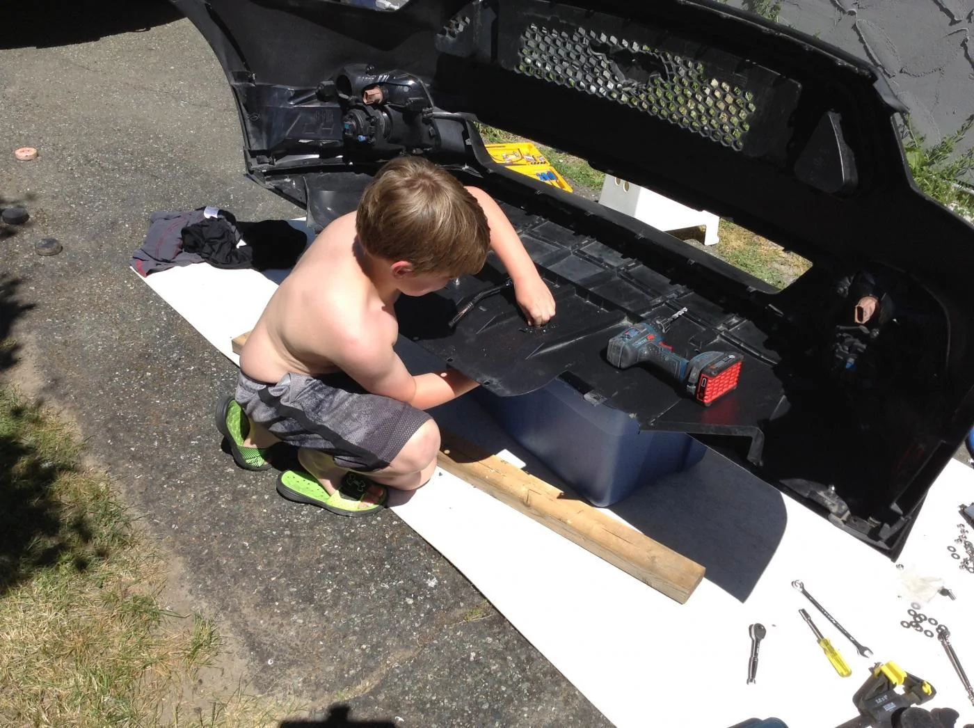 Fin helping.webp