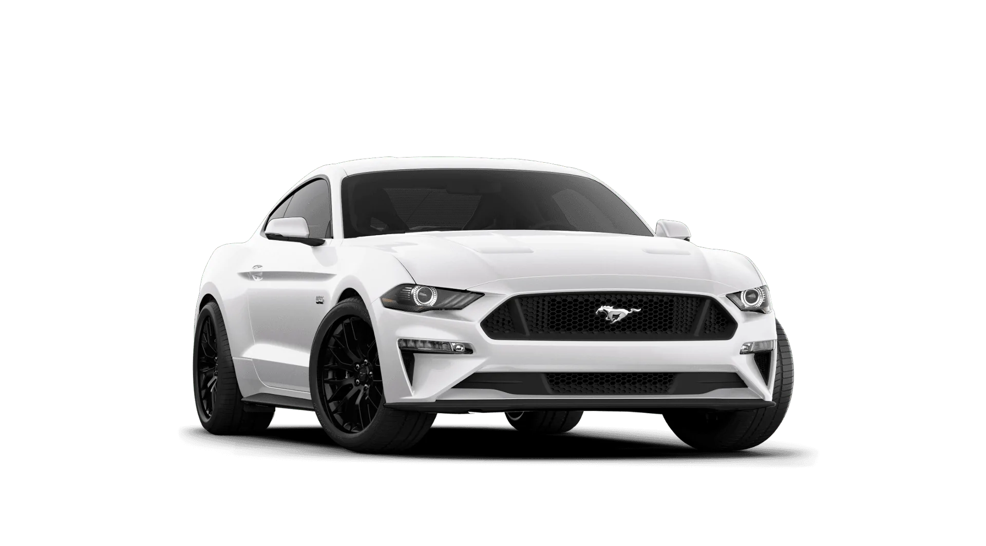 vehicle (3).webp