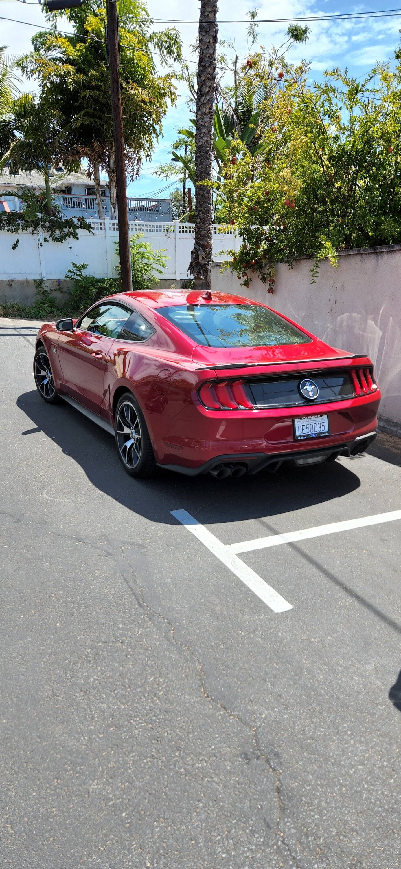 20220728_141523.jpg