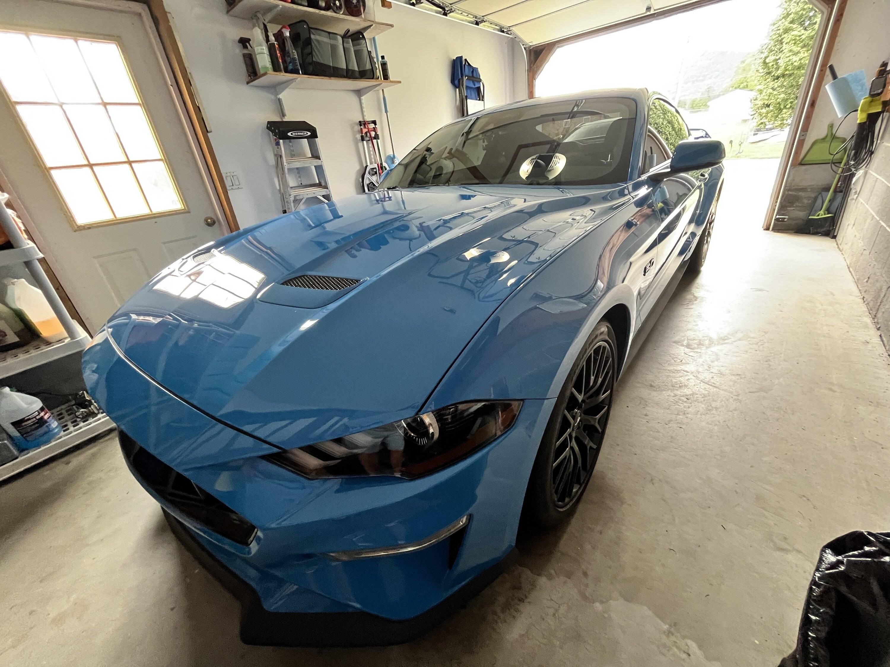 IMG_0231.JPG