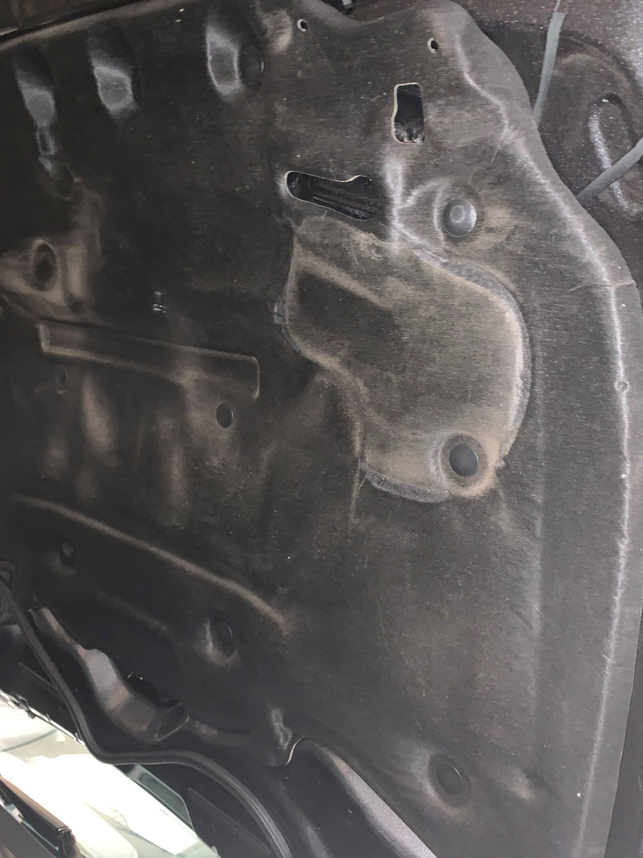 Hood Liner.jpg