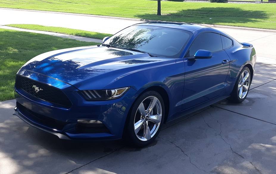 31-Mustang.jpg