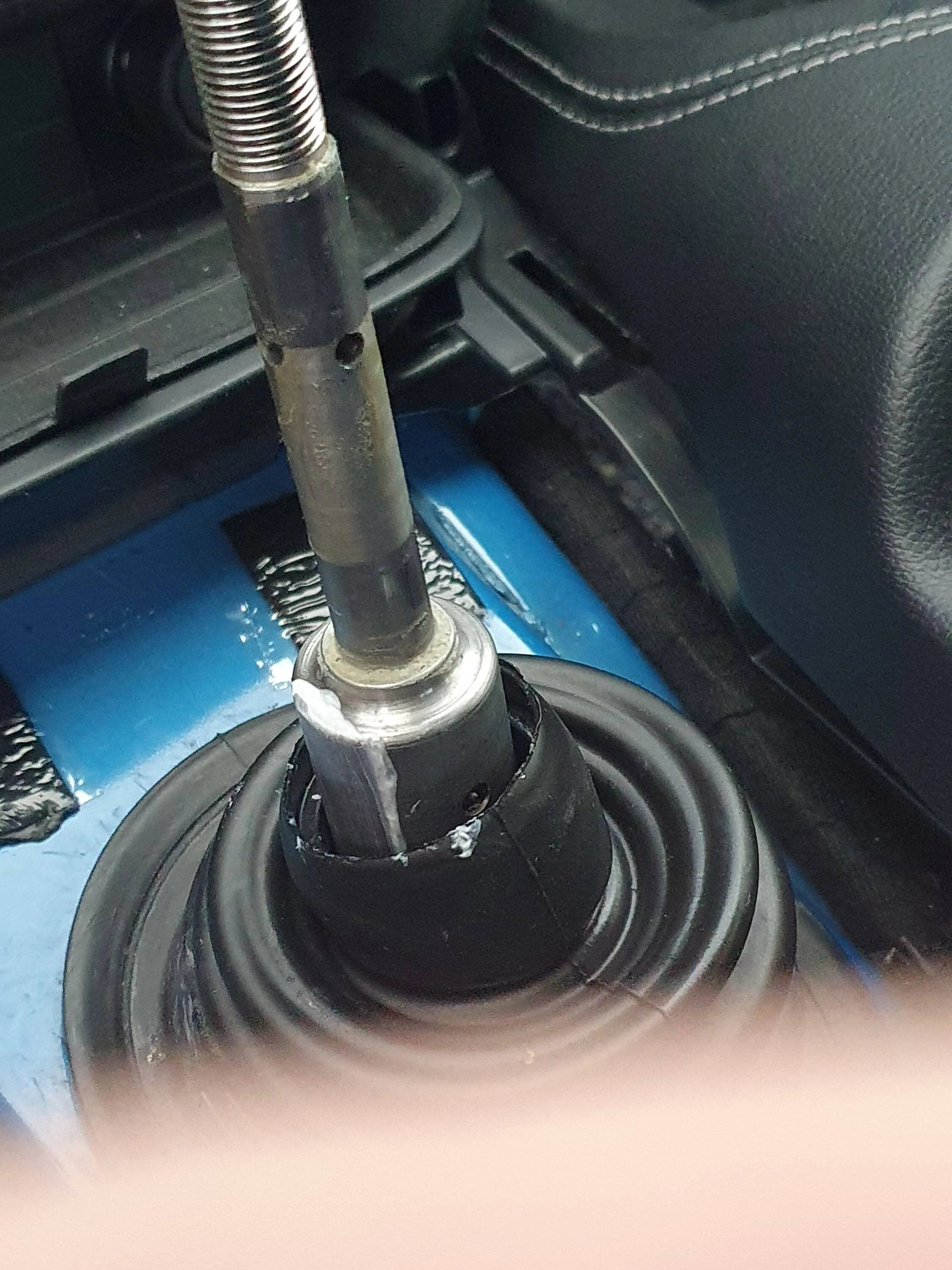 20220714_201402.jpg
