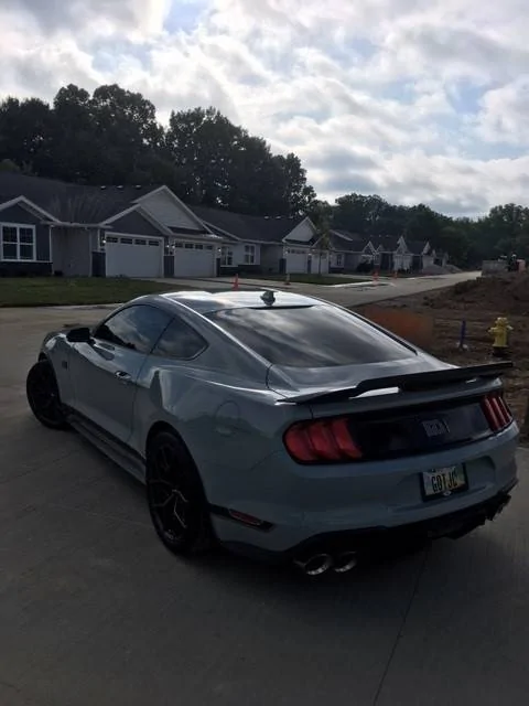 stang.jpg