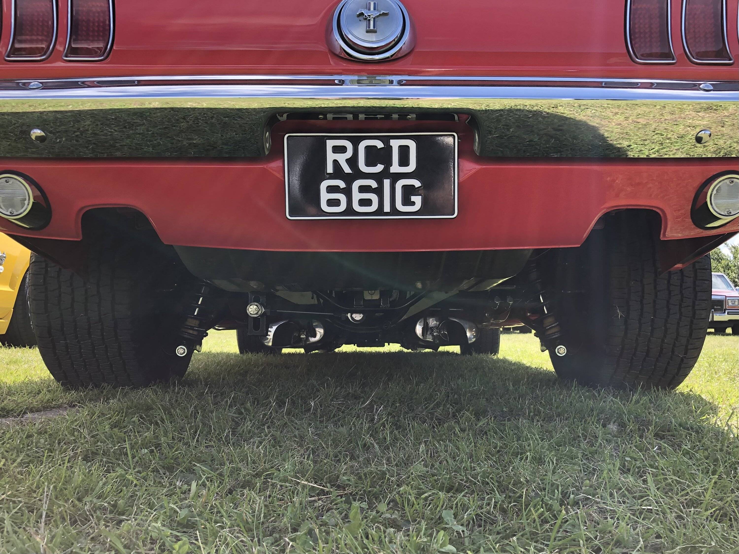 1659902118059.jpeg