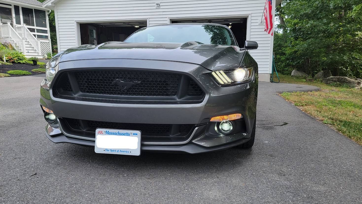 stang.jpg