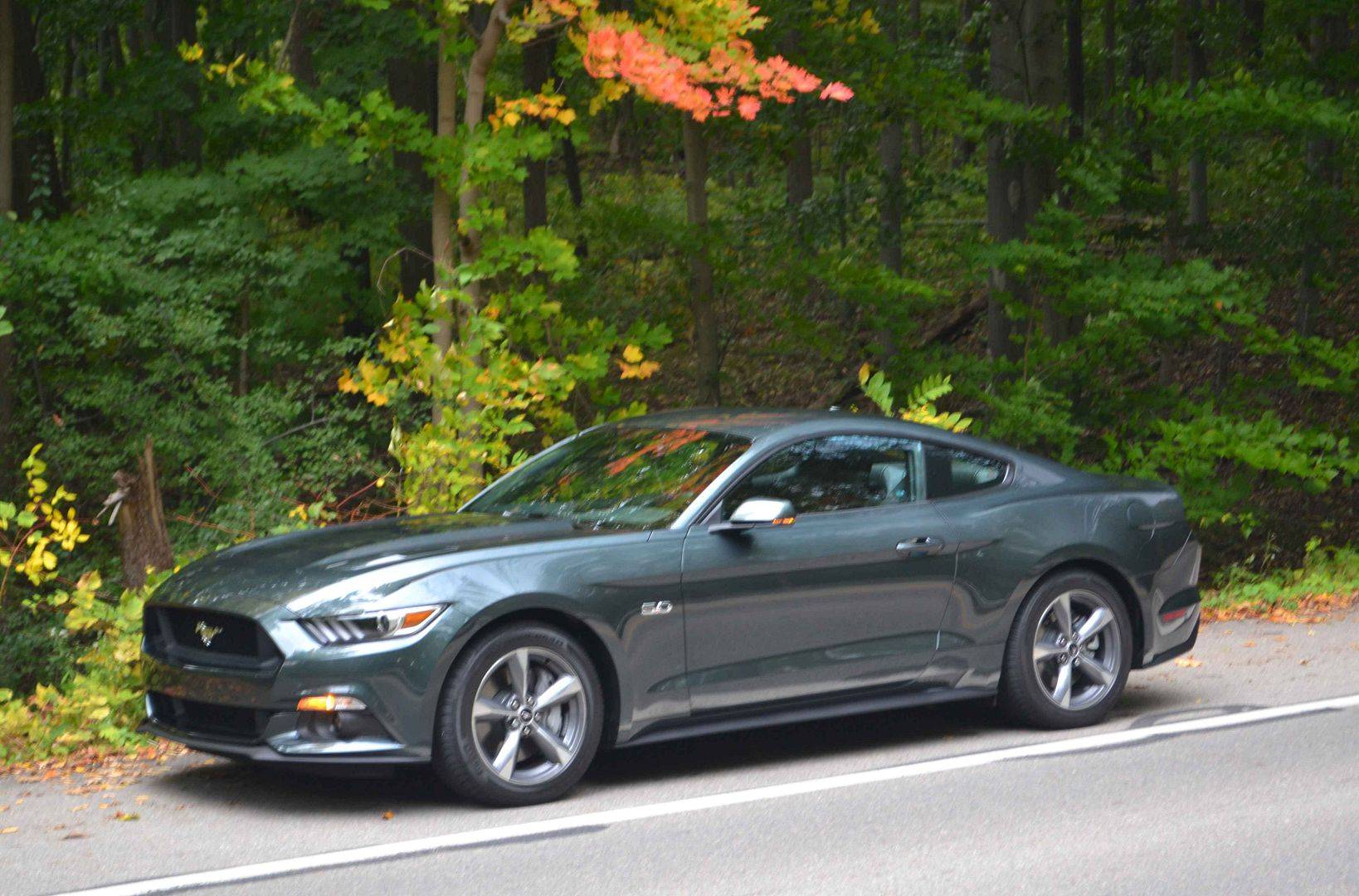 2015-Guard-Mustang1-021_zps935b5fe7.jpg