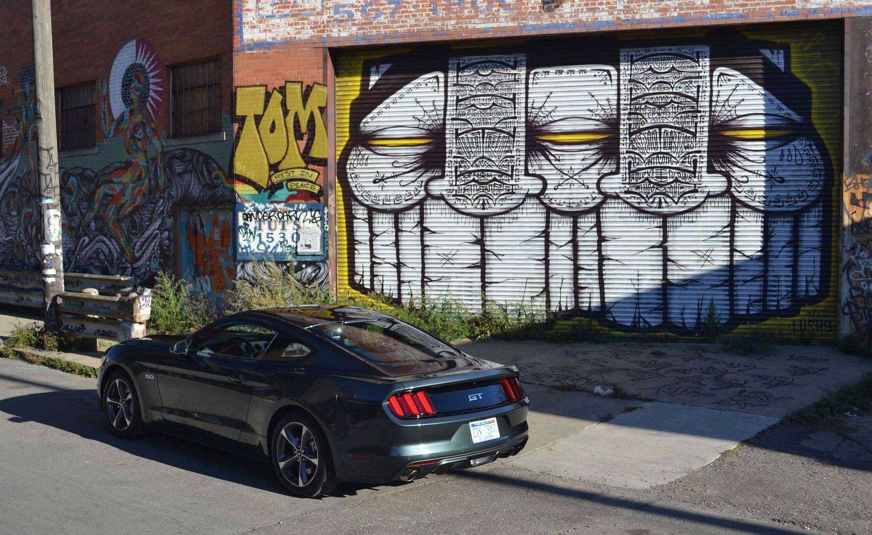 2015-Guard-Mustang2-01011_zps427e9837.jpg