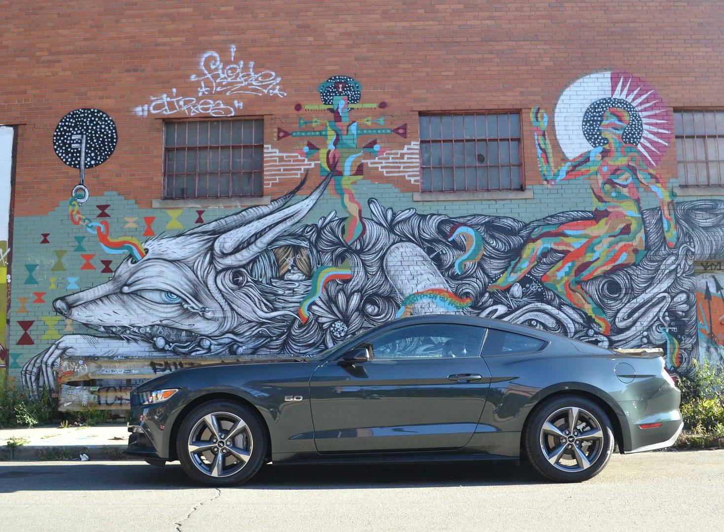 2015-Guard-Mustang2-02011_zpsfd17bd37.jpg