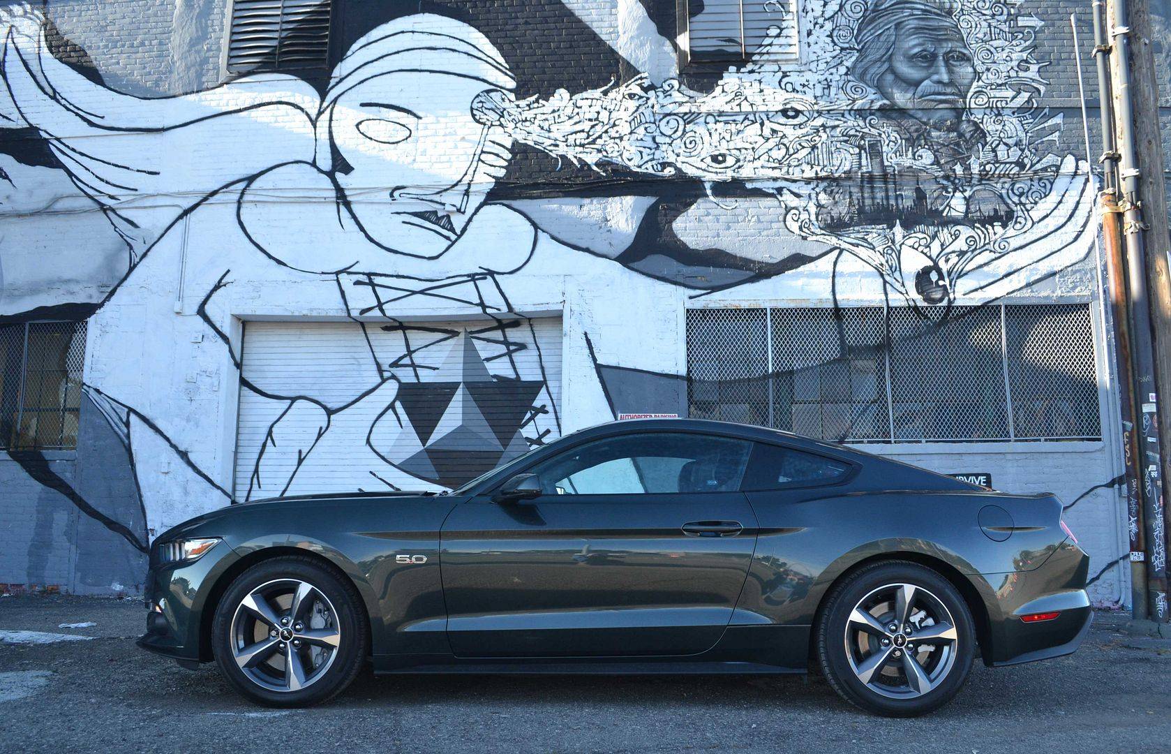 2015-Guard-Mustang2-02311_zpsb12e29b2.jpg