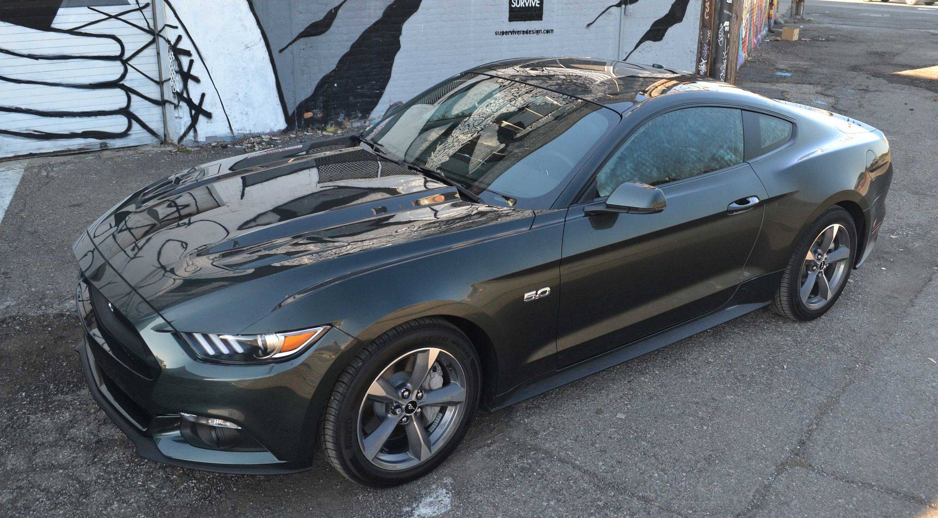 2015-Guard-Mustang2-02511_zps749ef08c.jpg