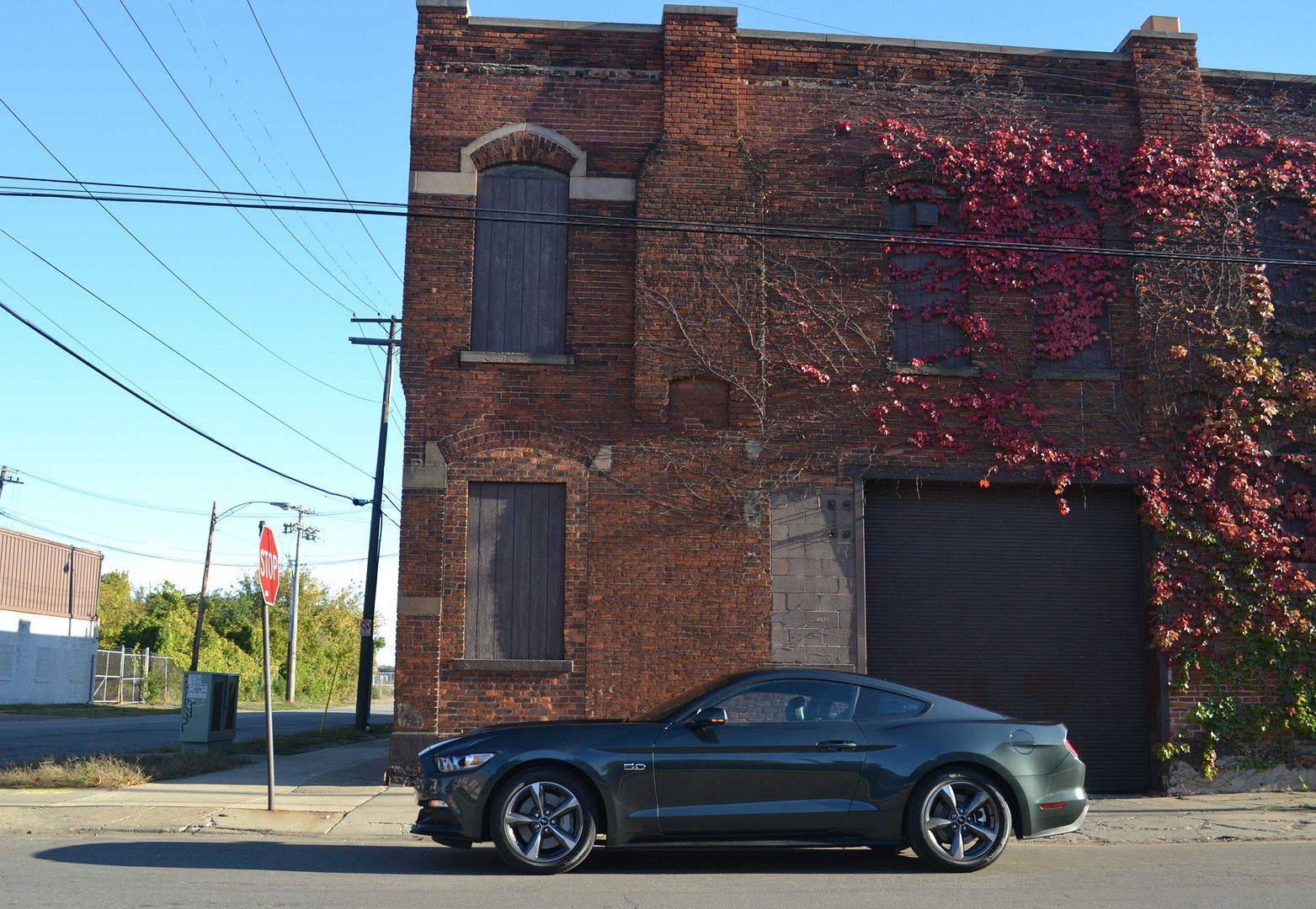 2015-Guard-Mustang2-05011_zpsee0c6990.jpg