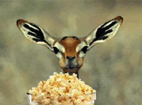 izctrl-popcorn.gif