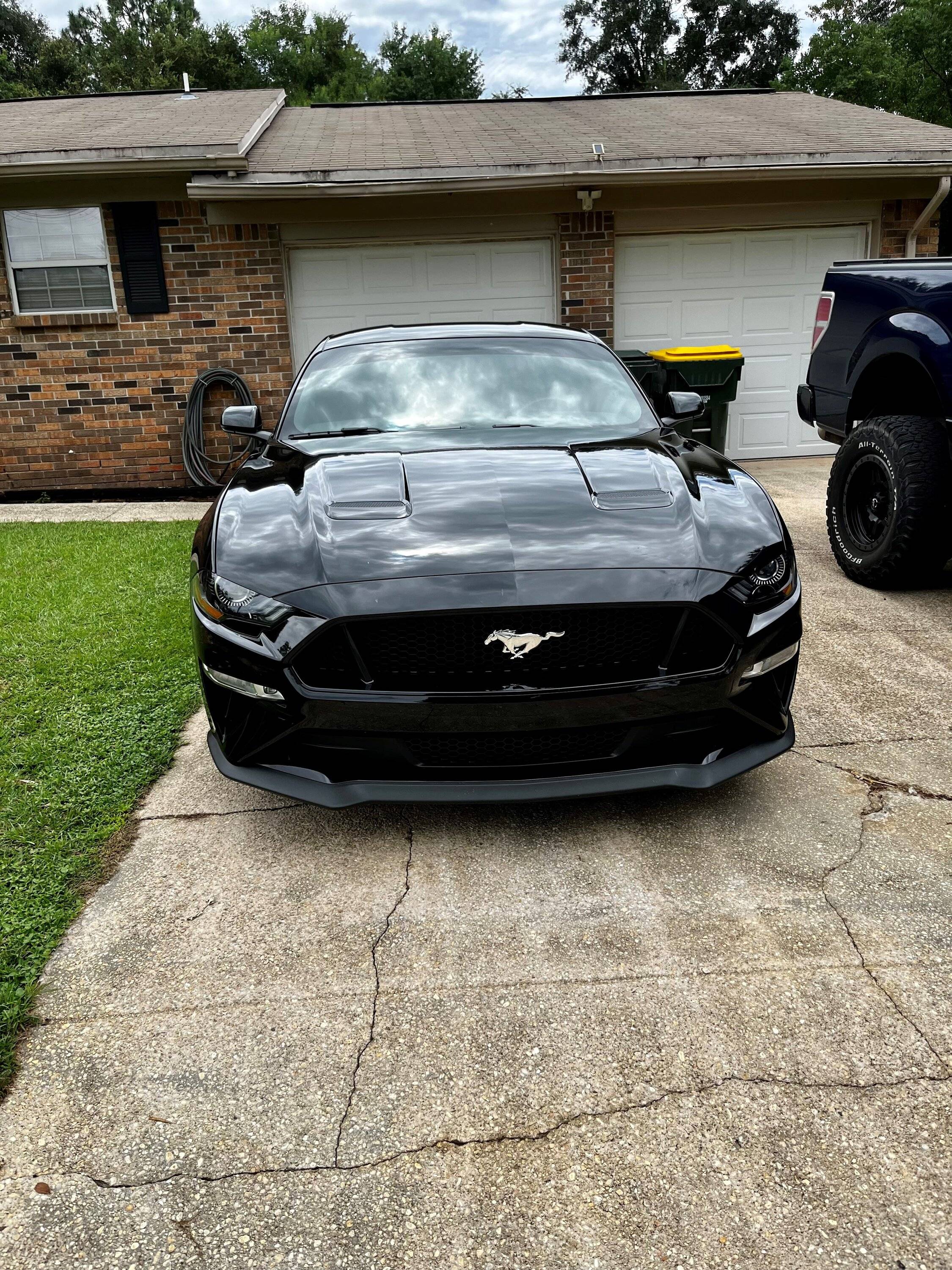 Mustang1.jpg