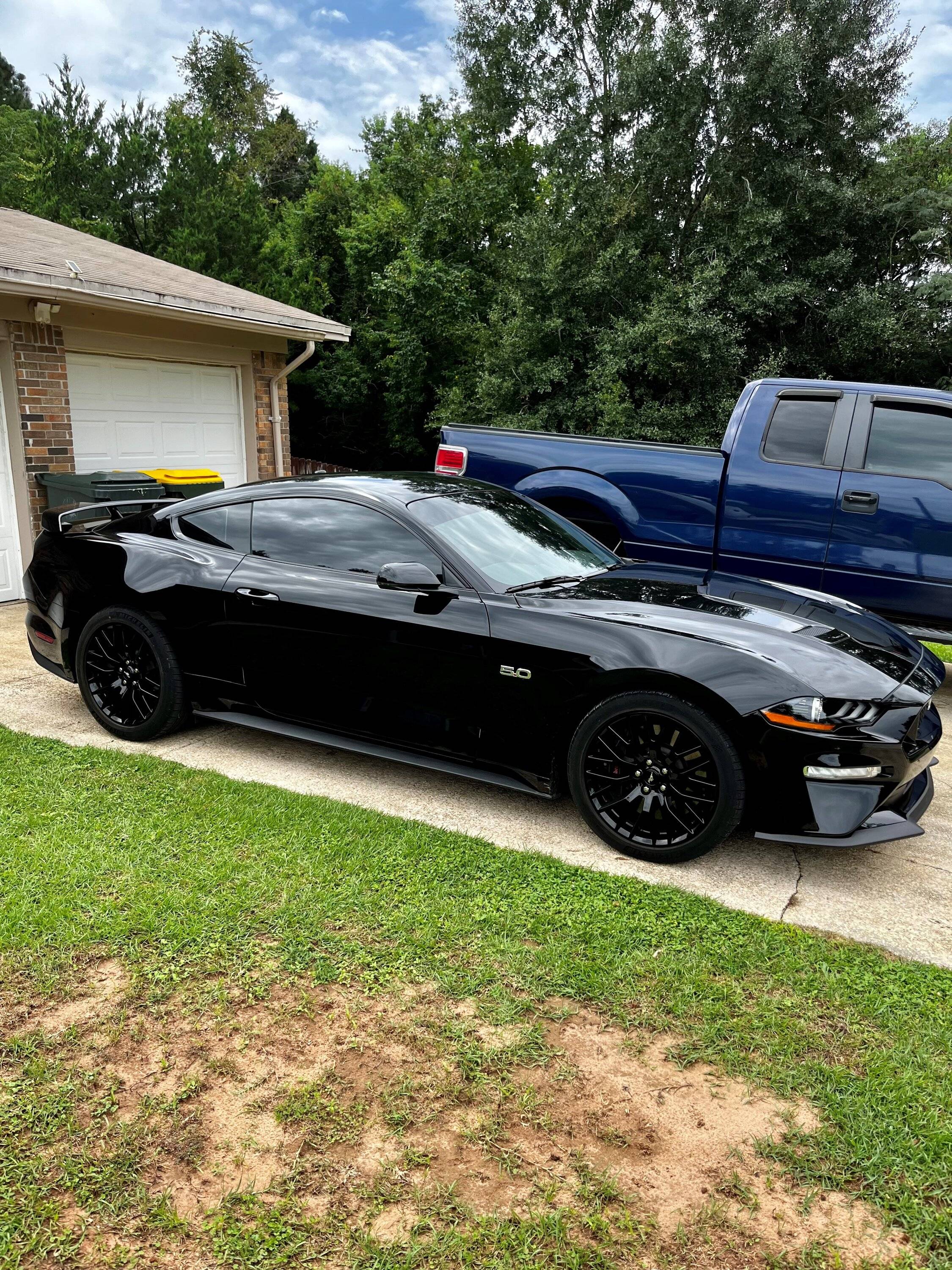 Mustang2.jpg